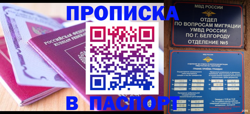 временная регистрация законно в Кашине